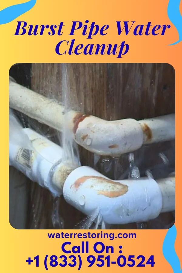 Burst Pipe Water Cleanup in North Bend, OR