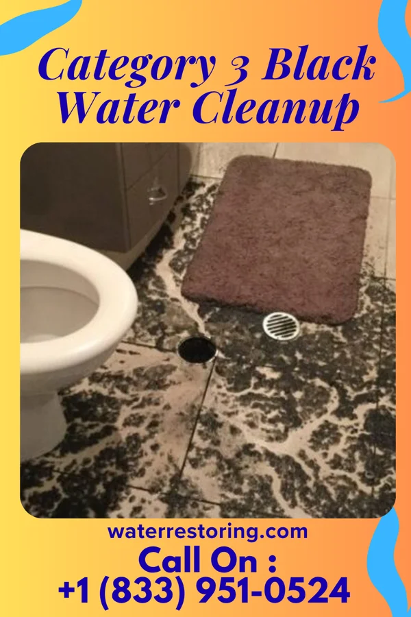 Category 3 Black Water Cleanup in North Bend, OR