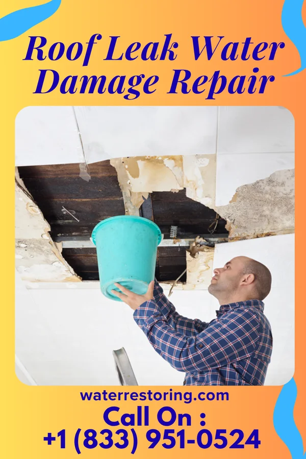 Roof Leak Water Damage Repair in North Bend, OR